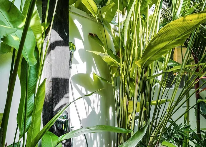 Villa Arroyo By Balisuperhost Ubud (Bali)